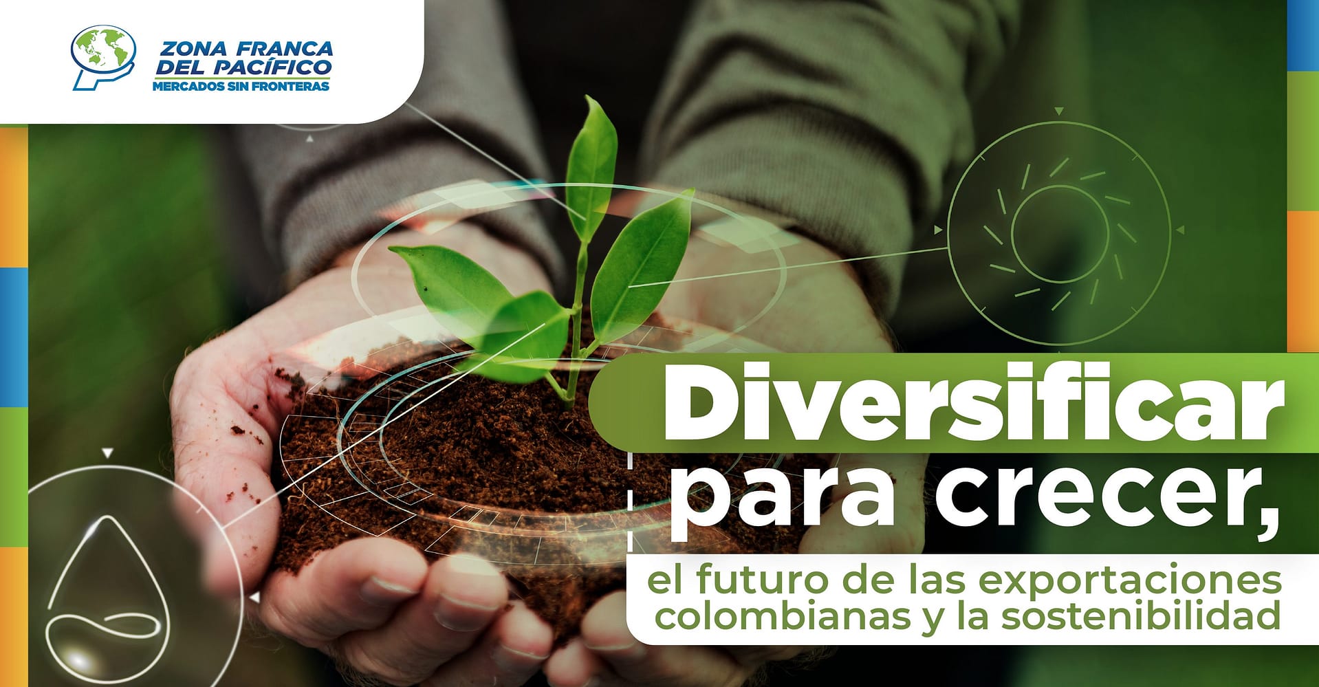 La diversificación de mercados
